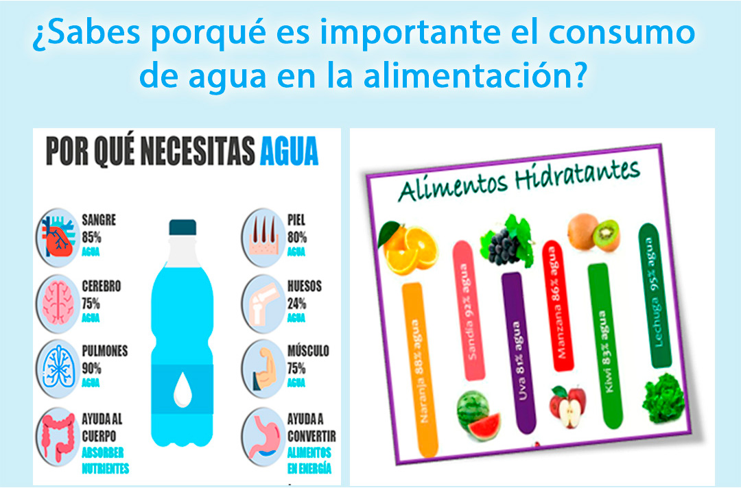 LA IMPORTANCIA DEL AGUA EN LA ALIMENTACIÓN Centro de Atención