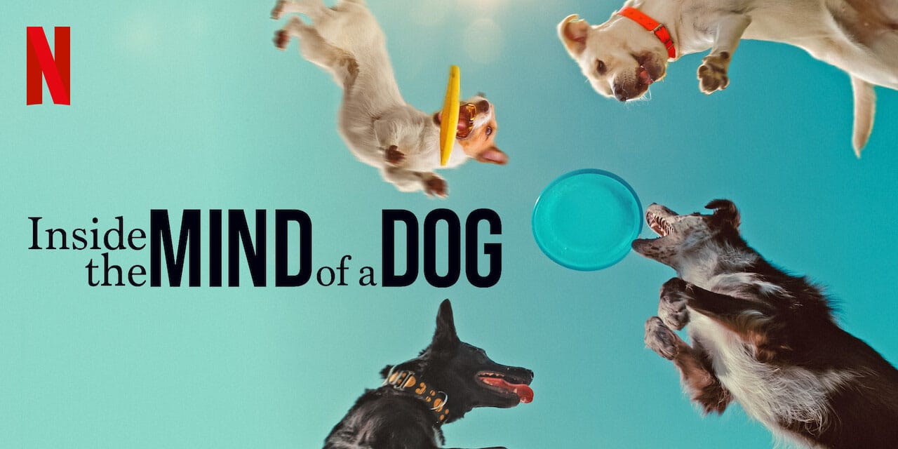 Canine Companions Featured in Netflix’s ‘Inside the Mind of a Dog(03)