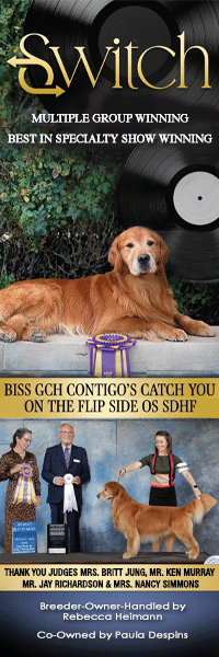 2025 AKC Point Schedule Effective May 12, 2025 Canine Chronicle