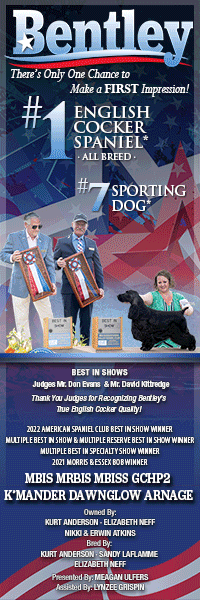 westminster 2023 schedule Westminster Week 2023 FAQs Answered by WKC Canine Chronicle