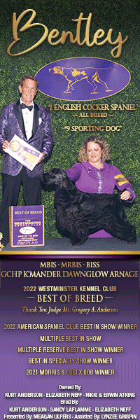 Richmond Dog Fanciers NOHS Sunday August 7, 2022 Canine Chronicle