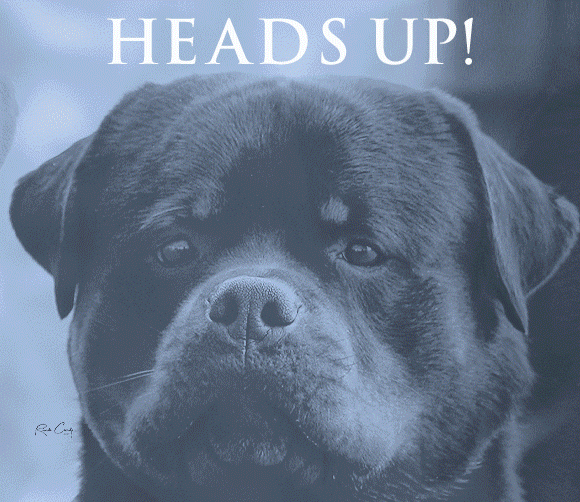 Decatur Alabama Kennel Club Sunday, November 14, 2021 Canine Chronicle