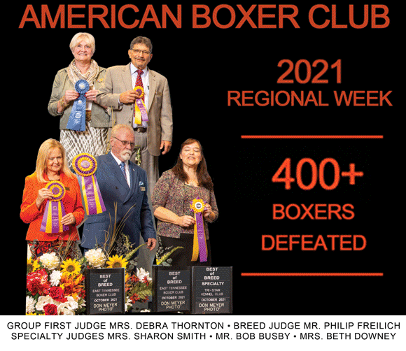 Middleburg Kennel Club Wednesday, November 3, 2021 Canine Chronicle