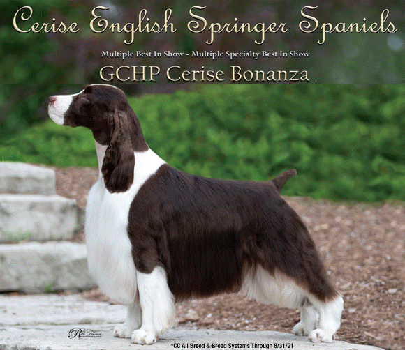 Richmond Dog Fanciers Club Wednesday, November 3, 2021 Canine Chronicle