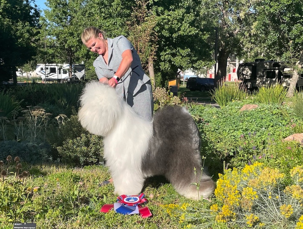 Evergreen Colorado Kennel Club Monday, September 12, 2022 Canine