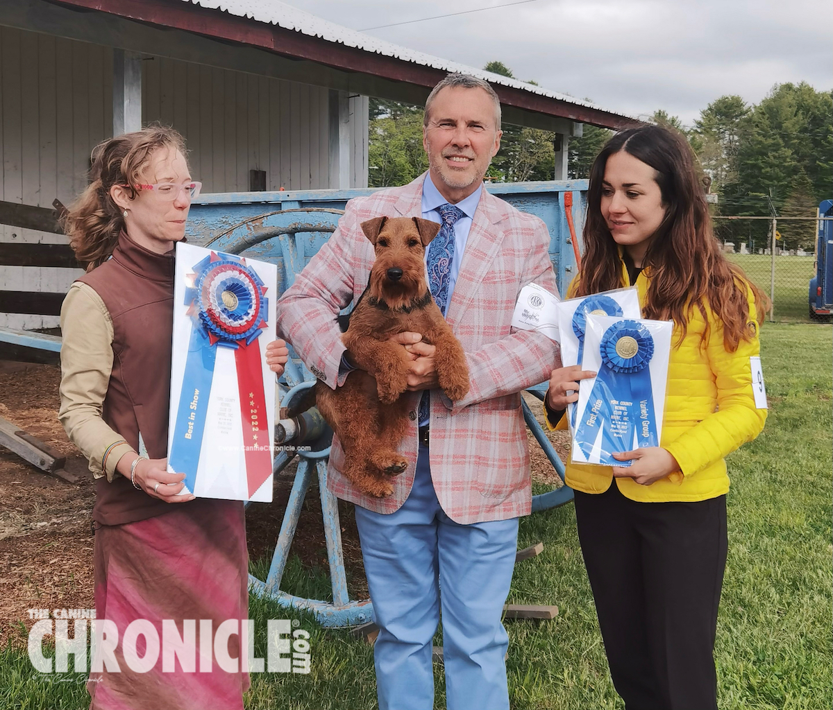 Cape Cod Kennel Club, Inc. Sunday, September 18, 2022 Canine Chronicle