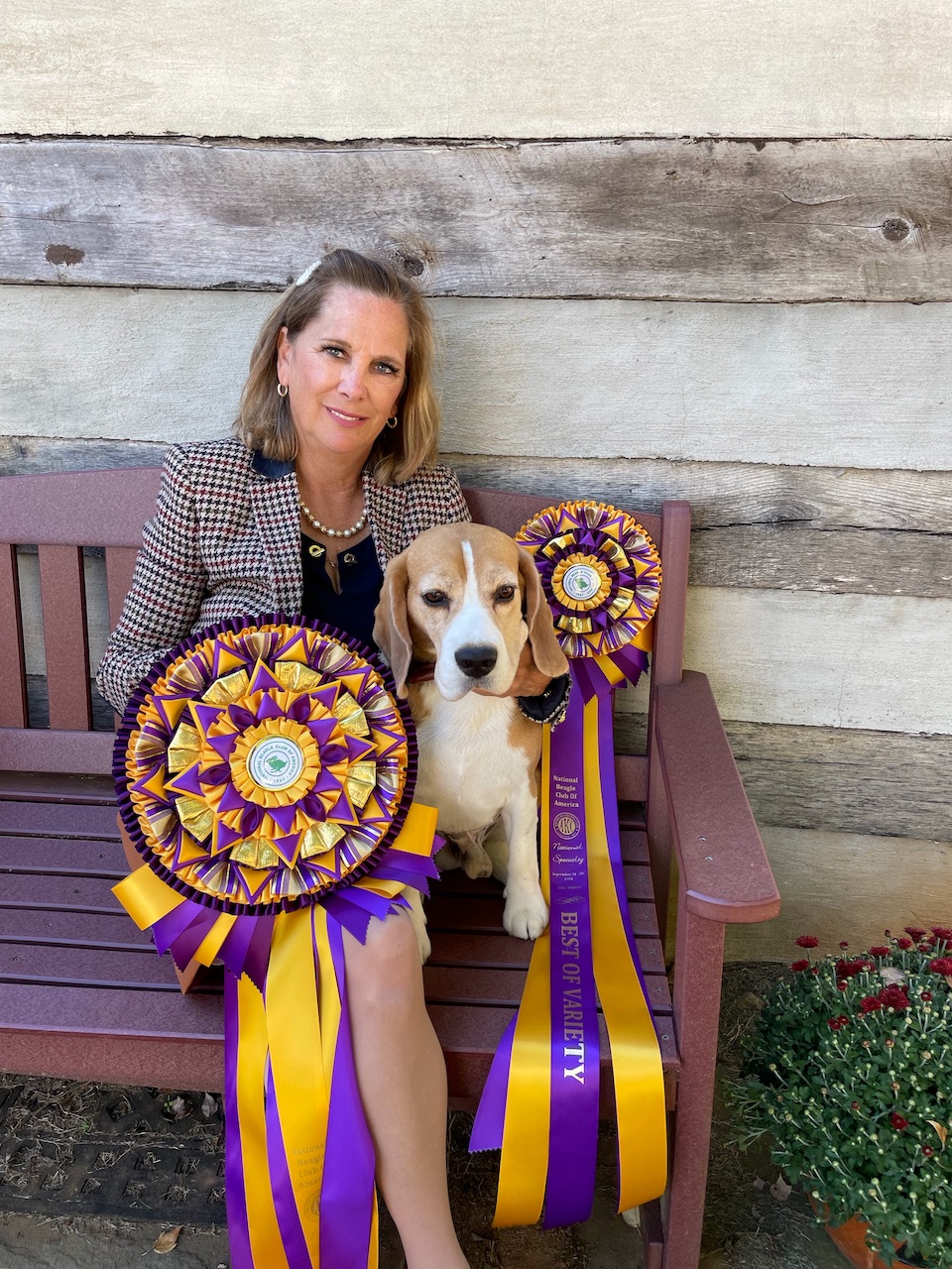 National Beagle Club Wednesday, September 28, 2022 Canine Chronicle