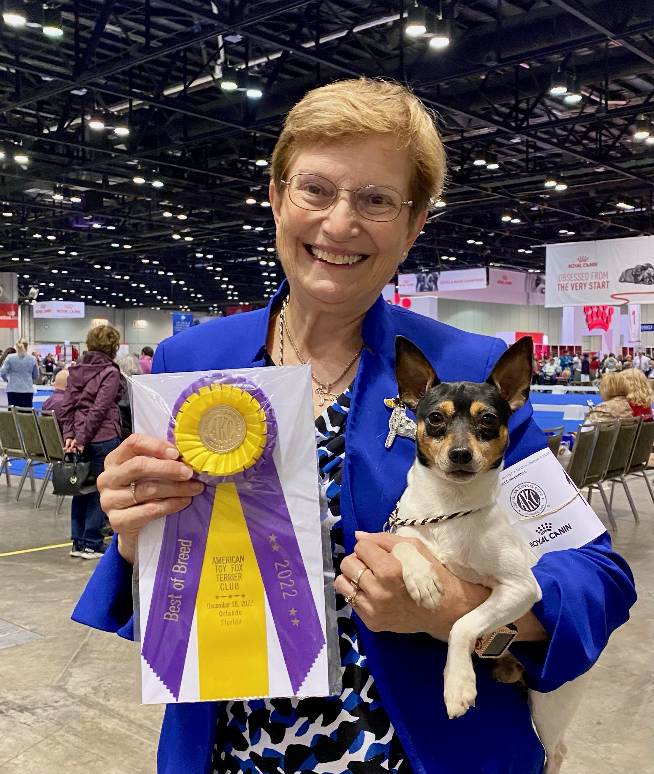 American Toy Fox Terrier Club Regional Specialty Friday, December 16
