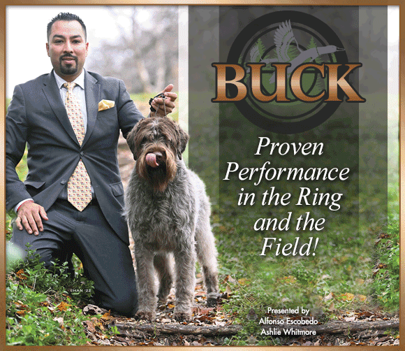 Greater Clarksburg WV Kennel Club NOHS Saturday, June 17, 2023