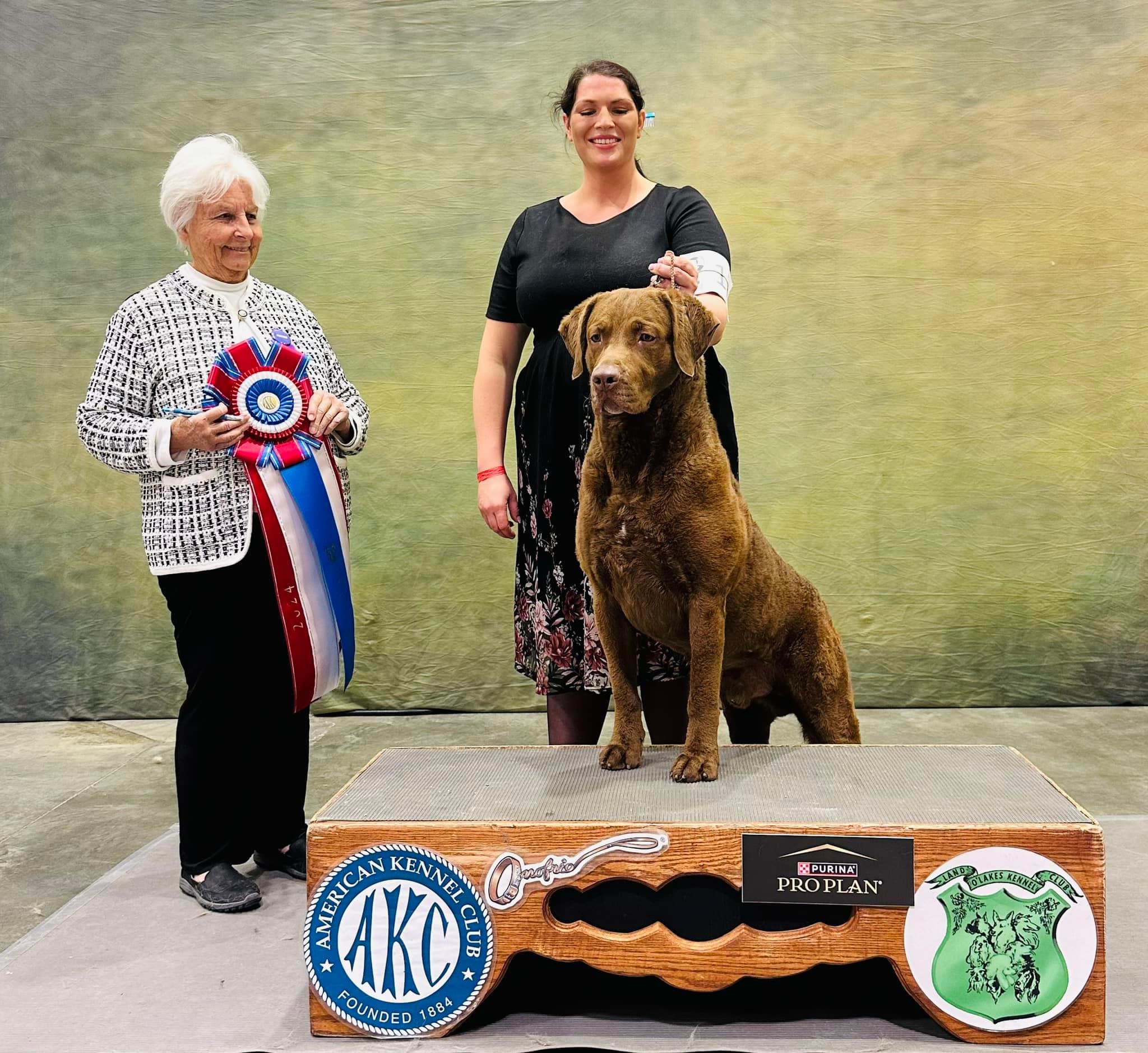 Land O’Lakes Kennel Club, Inc. Friday, January 5, 2024 Canine Chronicle