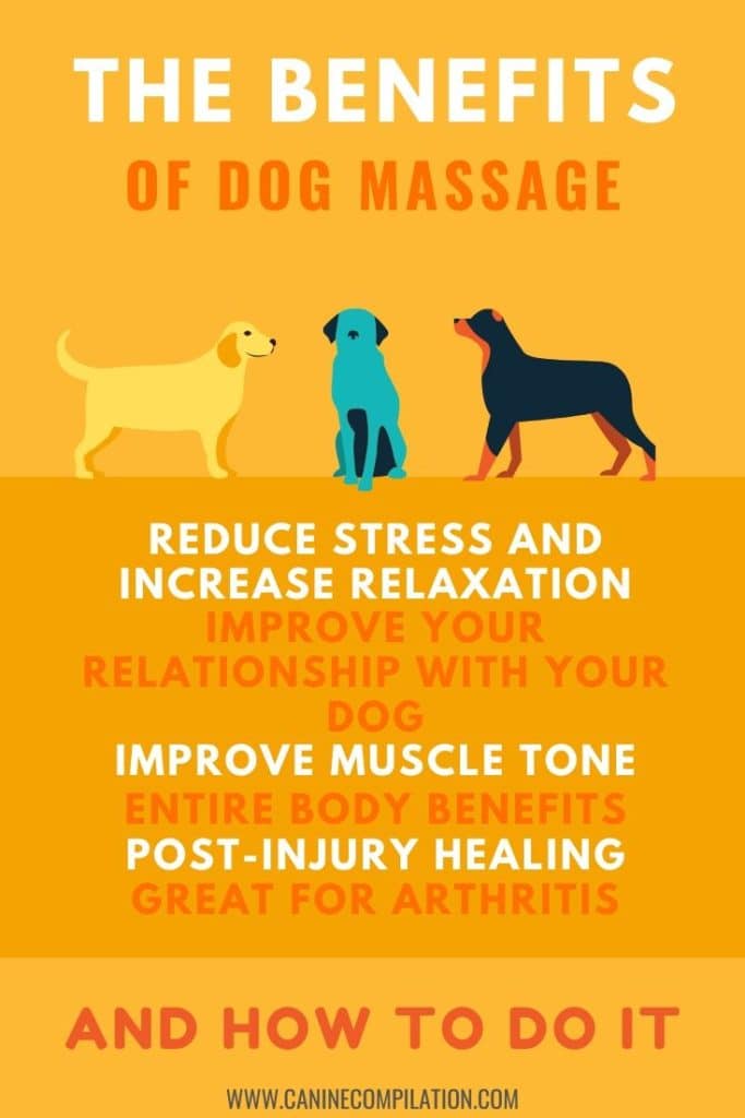 Dog Massage How To Do It Canine Compilation