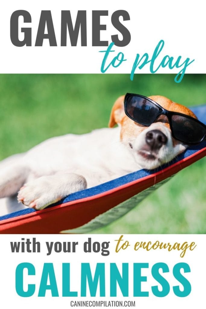 Calmness Games To Play With Your Dog Canine Compilation