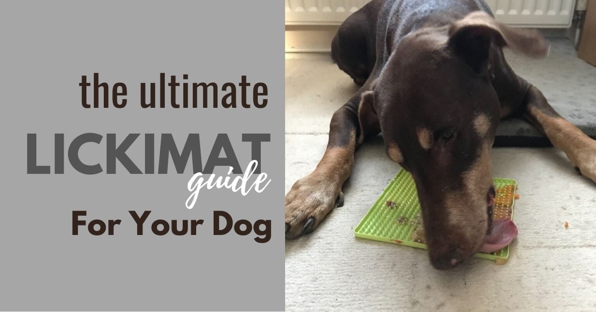licki mats for dogs ideas