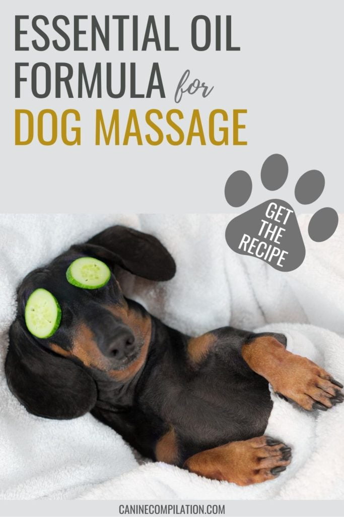 Tea Tree Oil Is It Bad For Dogs And Cats? Facebook