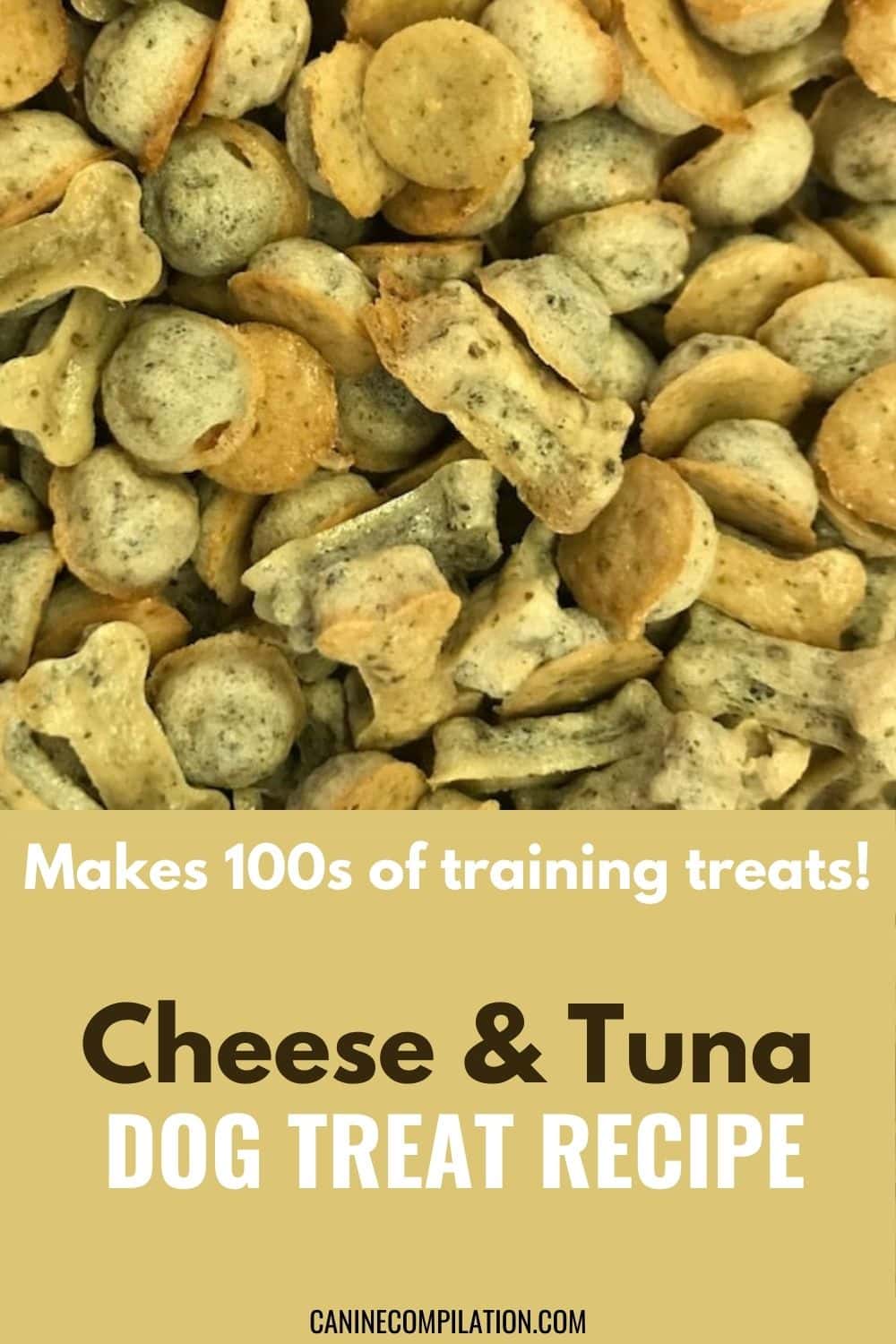 DIY Cheese And Tuna Dog Treats Prepare Them In 10 Mins! Canine