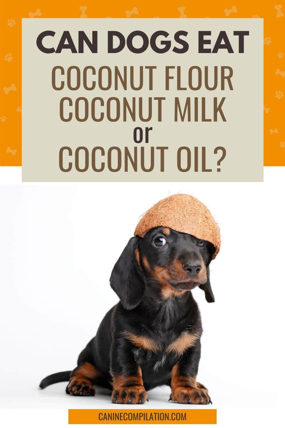 Can Dogs Eat Coconut? The Benefits And Risks Canine Compilation