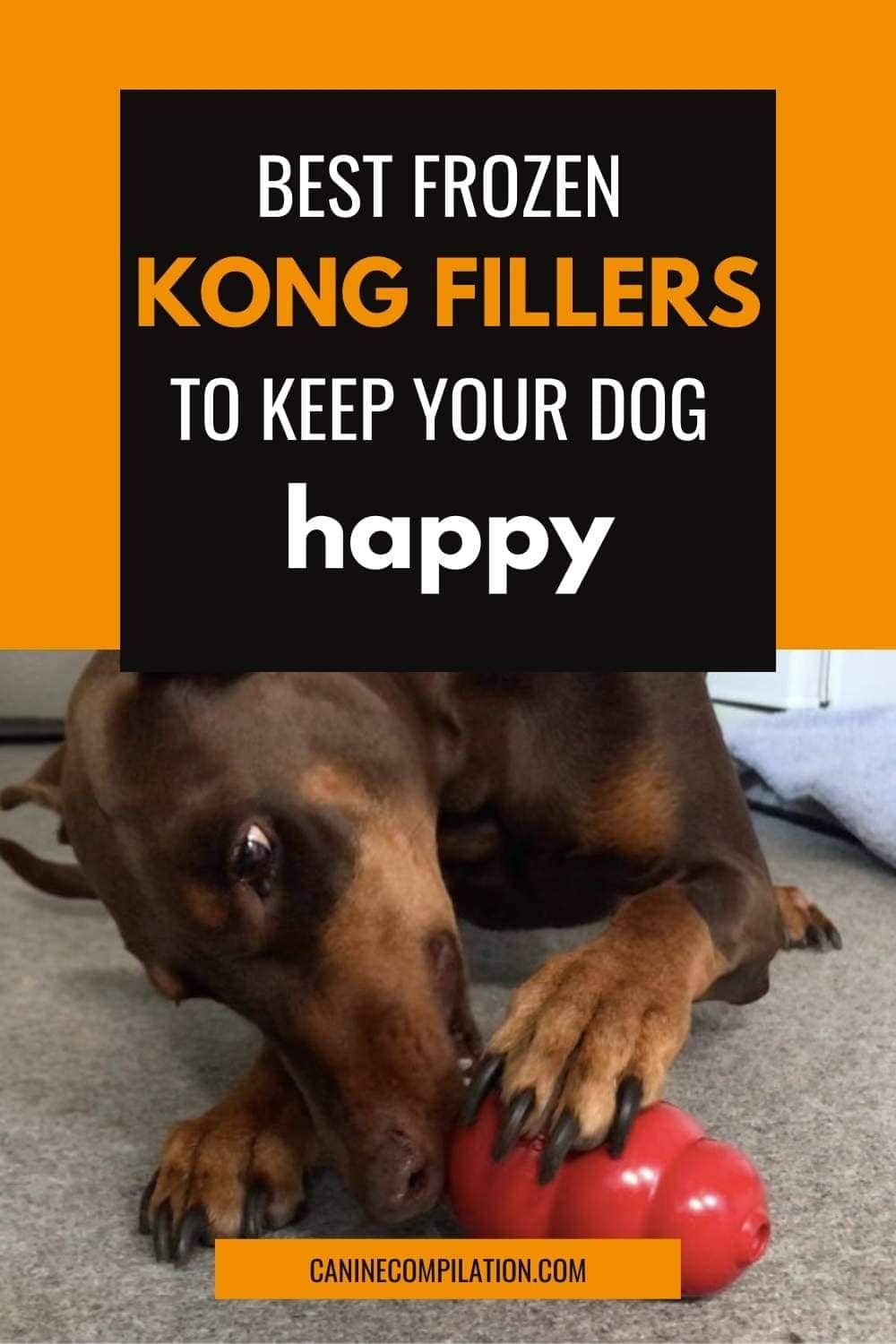 A Complete Guide to KONGS for Dogs Sizes, Types, Fillings Canine