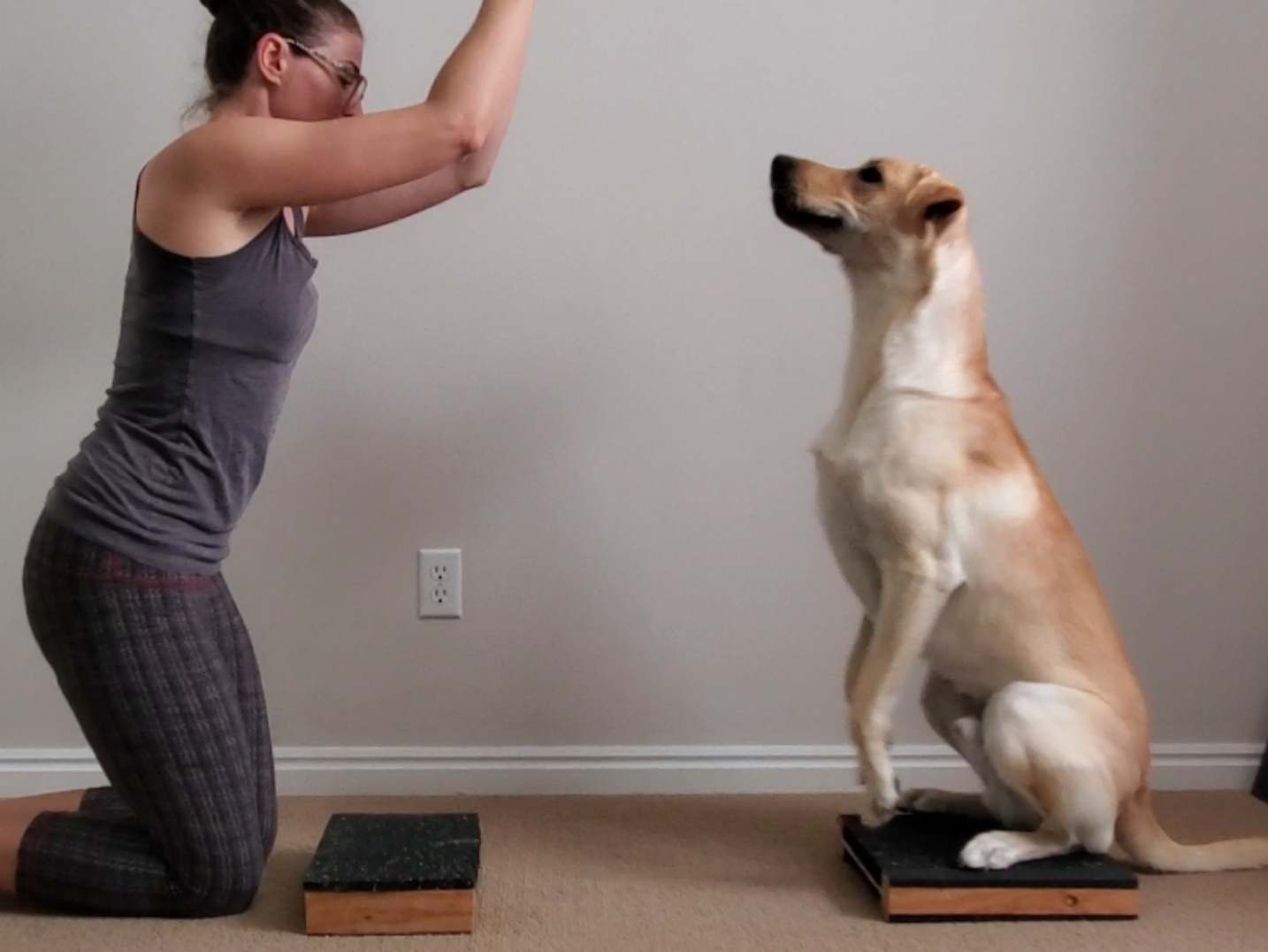 Burpees Expert » Canine Conditioning Coach