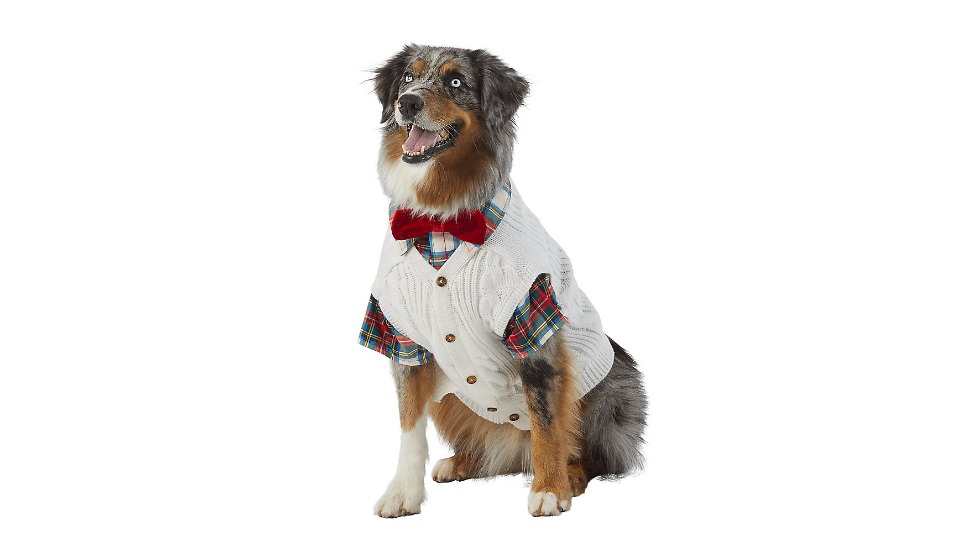 Christmas Clothes for Dogs Canine Country