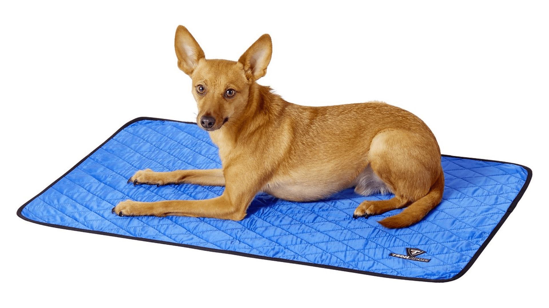 The Best Cooling Mats for Dogs Canine Country