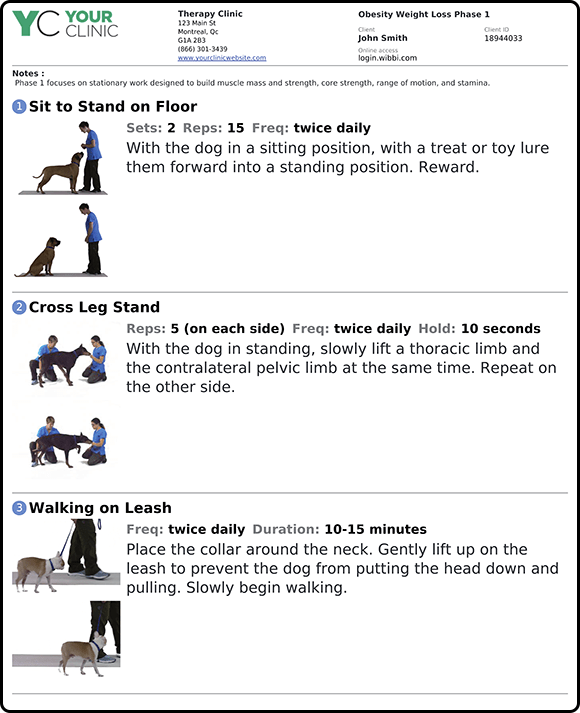Dog Obedience Hand Signals Chart