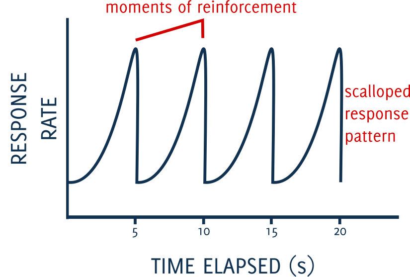 Dog Training Basics Schedules of Reinforcement Canine Habit