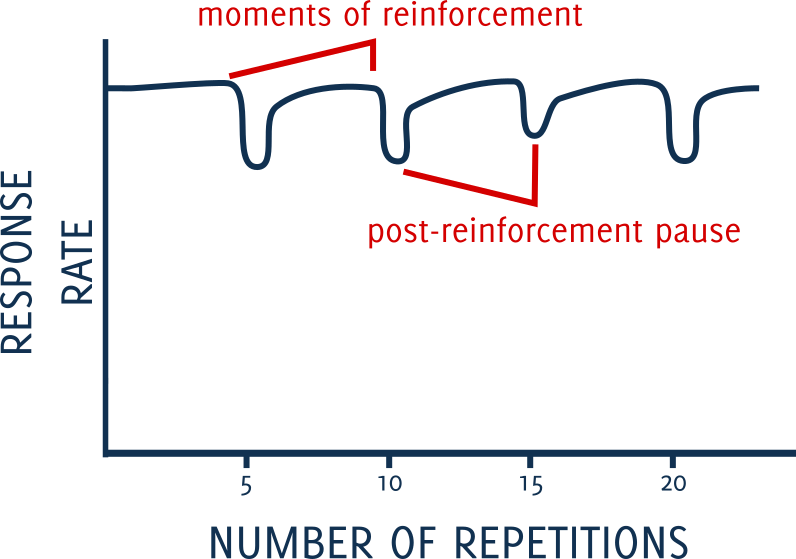 Dog Training Basics Schedules of Reinforcement Canine Habit