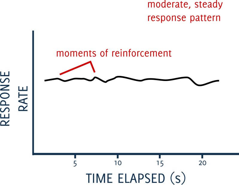 Dog Training Basics Schedules of Reinforcement Canine Habit
