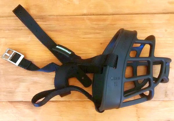 Baskerville Ultra Dog Muzzle Review and Guide | Canine Habit