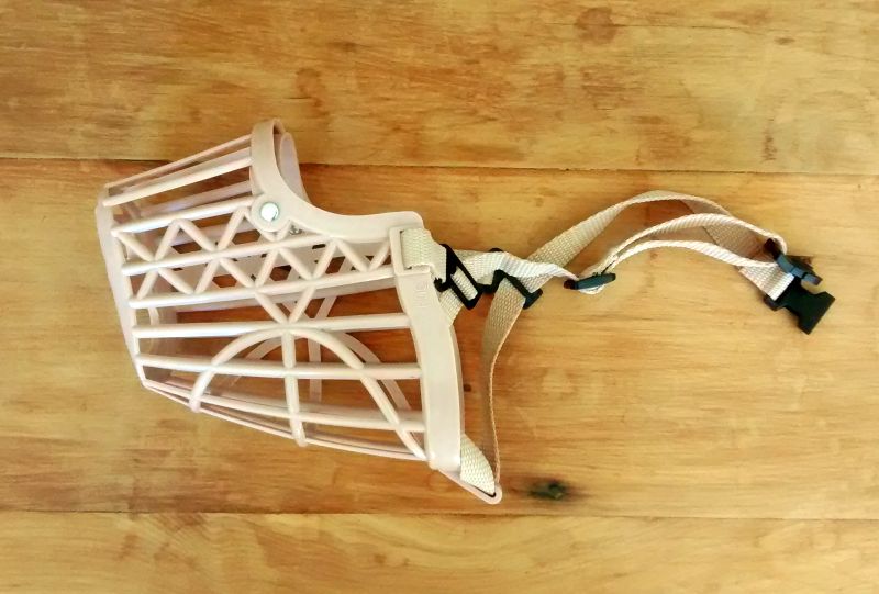 basket muzzle 2 Canine Habit