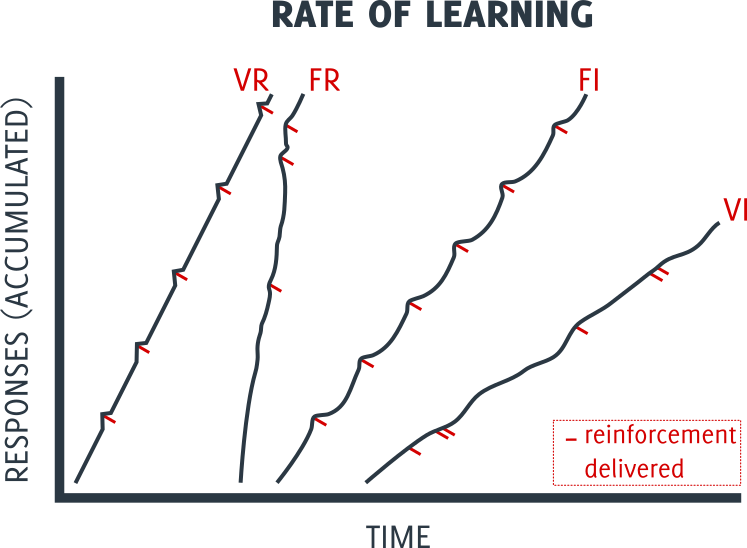 Dog Training Basics Schedules of Reinforcement Canine Habit