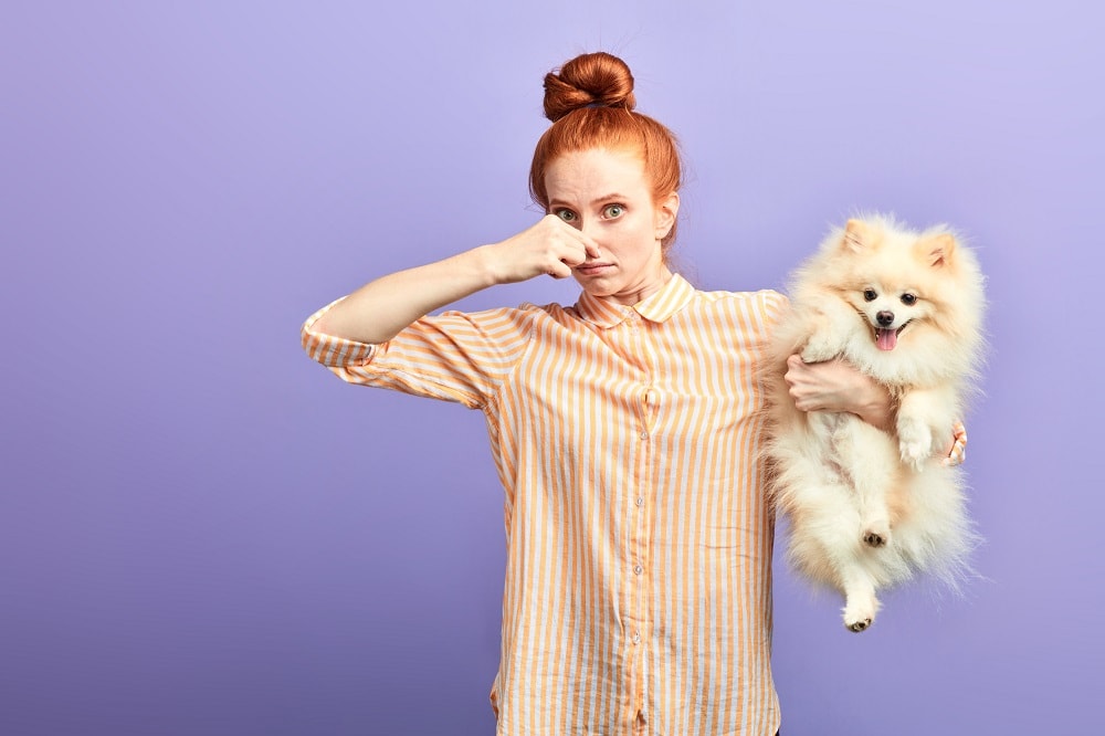 How To Get Rid Of The Dog Poop Smell In The Yard Bernie's Best, lupon