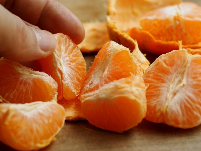 Can Dogs Eat Oranges? Canine HQ