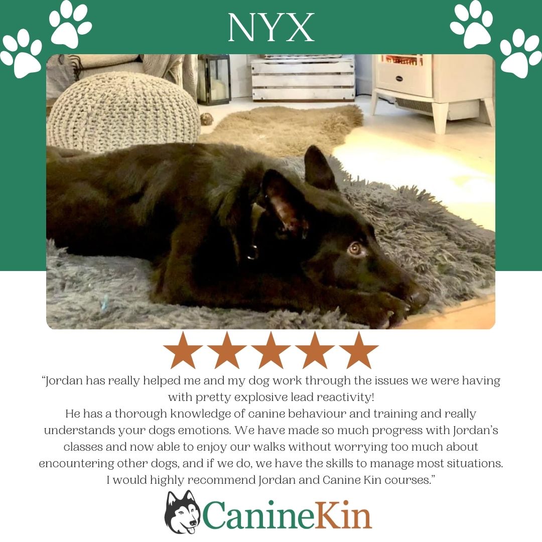 Foundation Course Lead Reactive Dog Behaviourist Hereford & Evesham