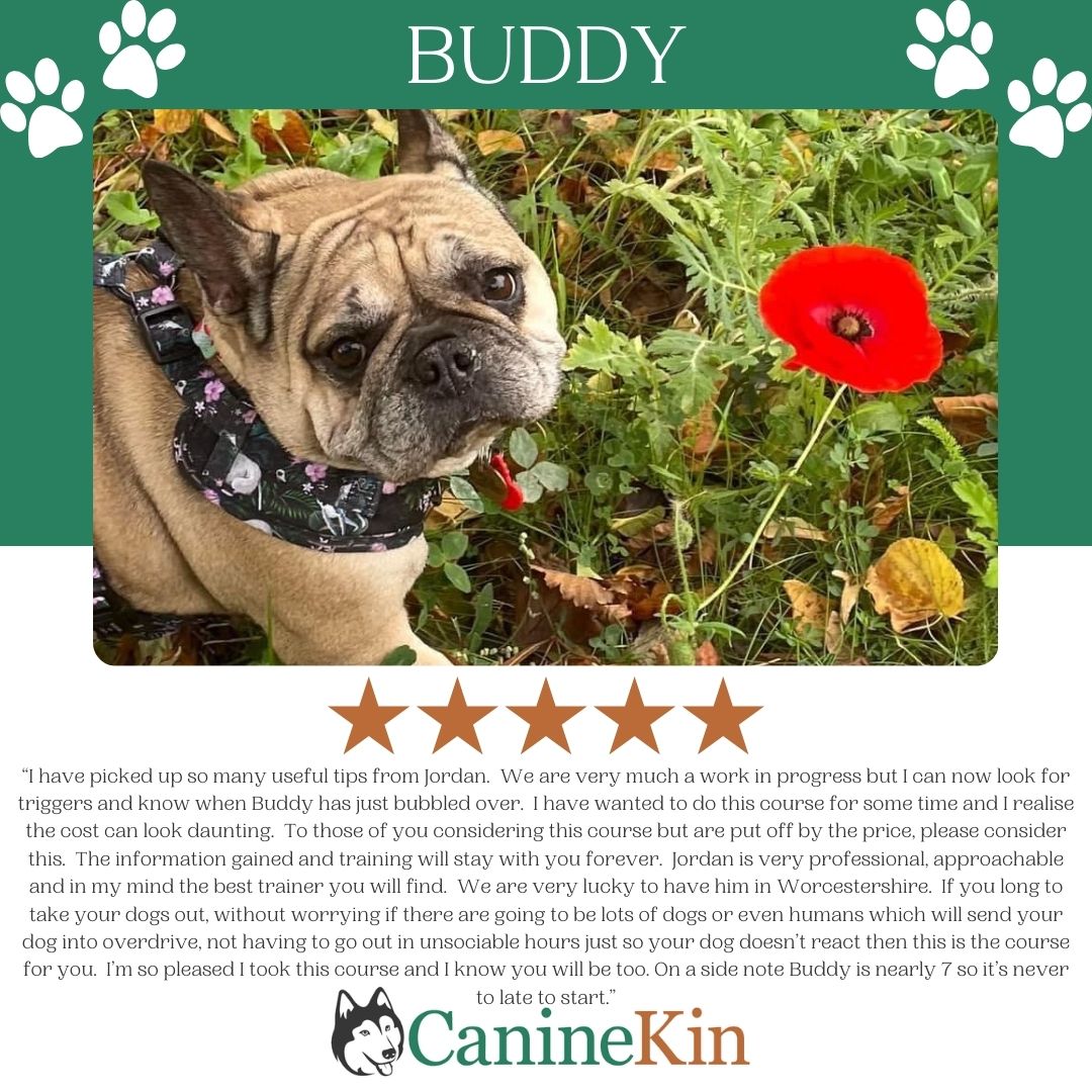 Foundation Course Lead Reactive Dog Behaviourist Hereford & Evesham