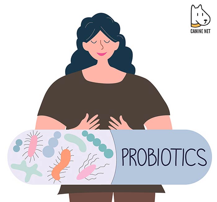 Top 6 BEST Dog Probiotics For Yeast Reviews 2022 (Updated)