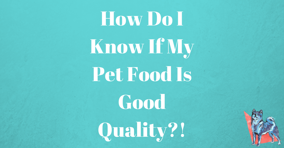 How Do I Know If My Pet Food Is Good Quality?! Dog Training With