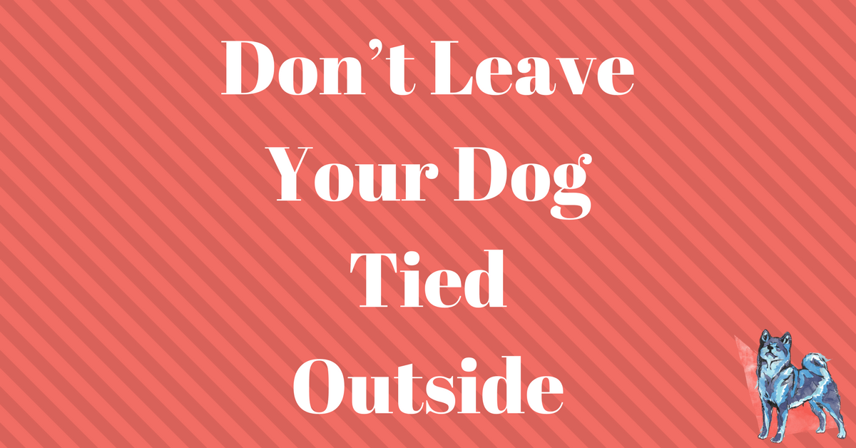 The Dangers of Tethering a Dog Outside Canine Perspective, Inc.