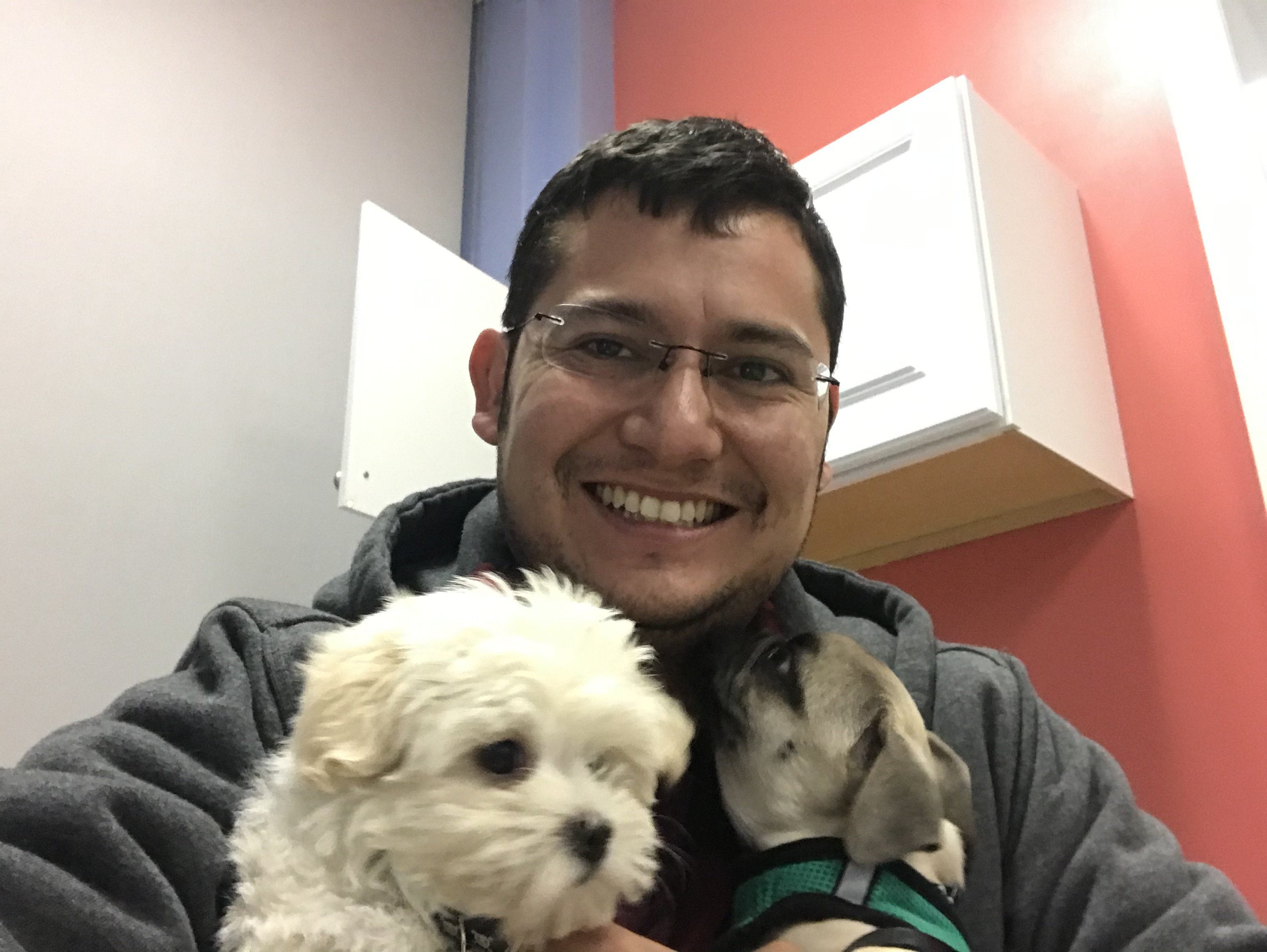 A Different Approach to Dog Daycare Canine Perspective