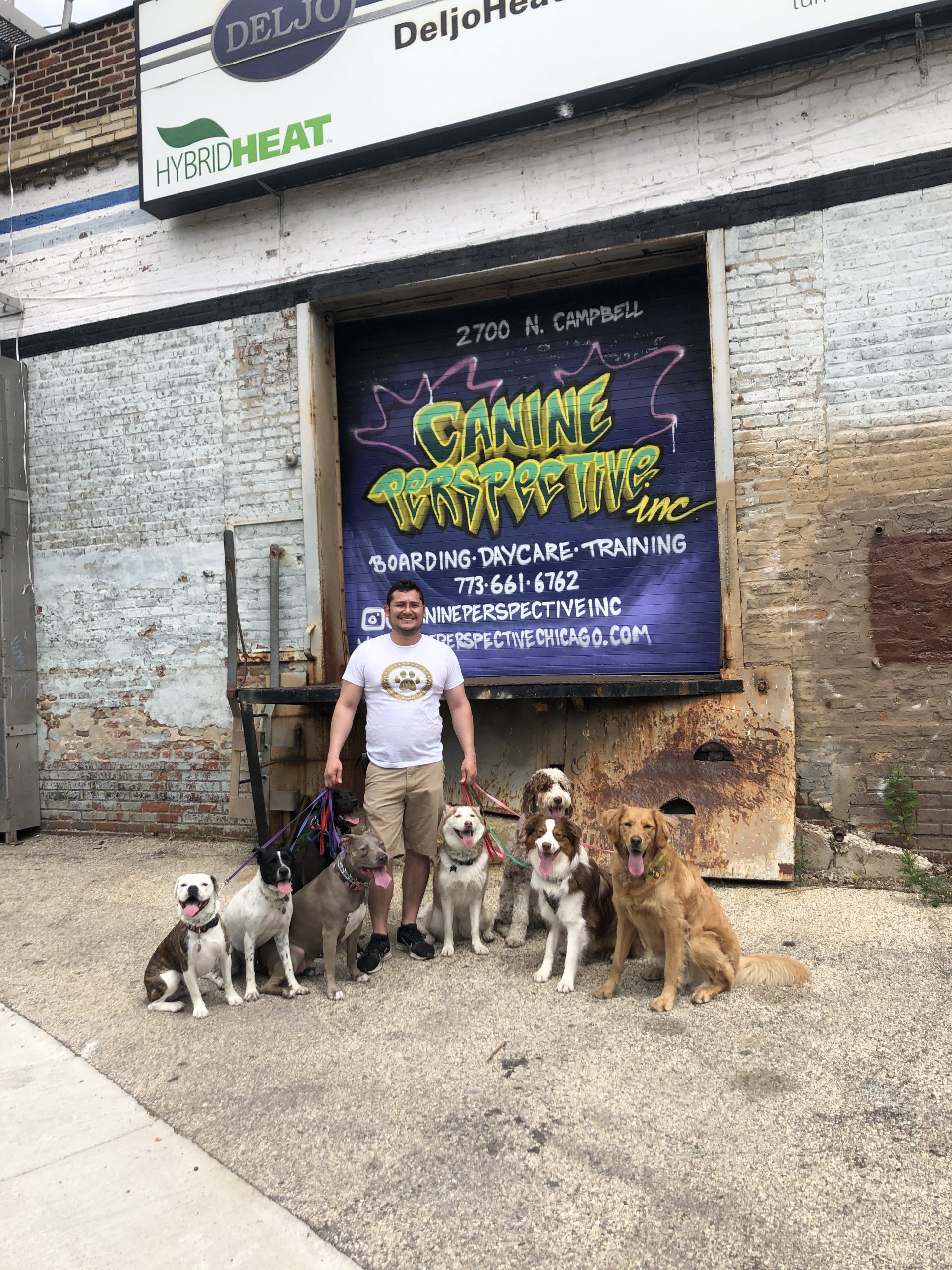COVID Update, Pack Art Walks, Zoom Sessions, And More Dog Training With Canine Perspective, Inc.