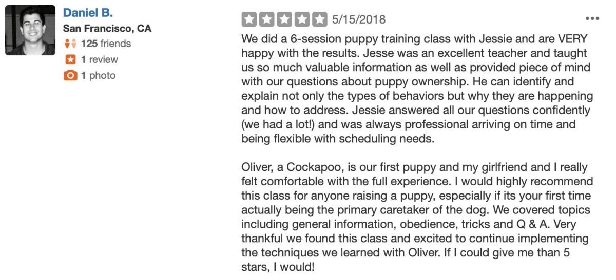 Best Dog Training Chicago, IL Yelp Reviews Canine