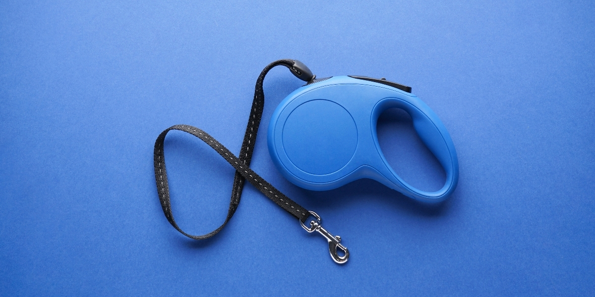 Why a Retractable Dog Leash is a Bad Idea