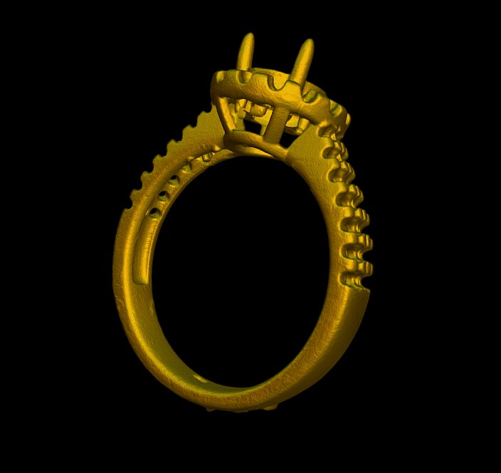 Thunk 3D Jewelry 3D Scanner Canion3D