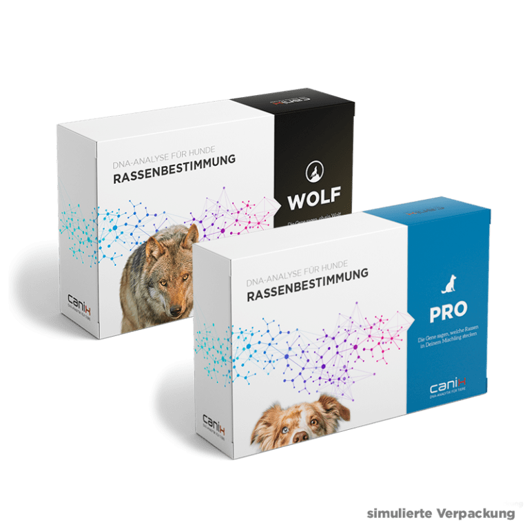 DNA Tests für Hunde Rassebestimmung, Gesundheit & Alter Canix