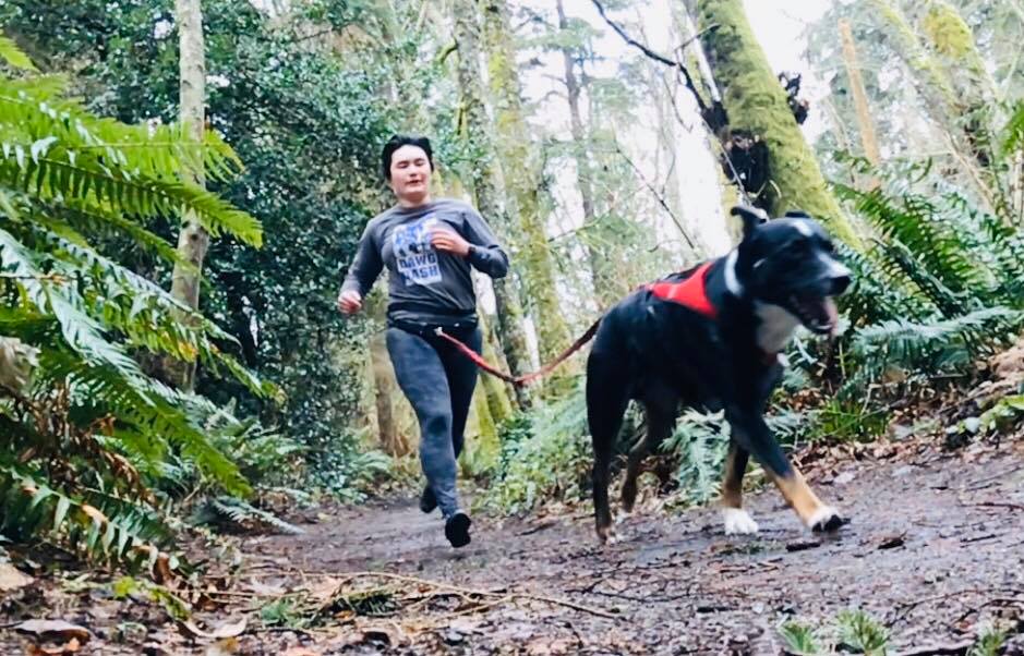 Canicross The sport for every dog