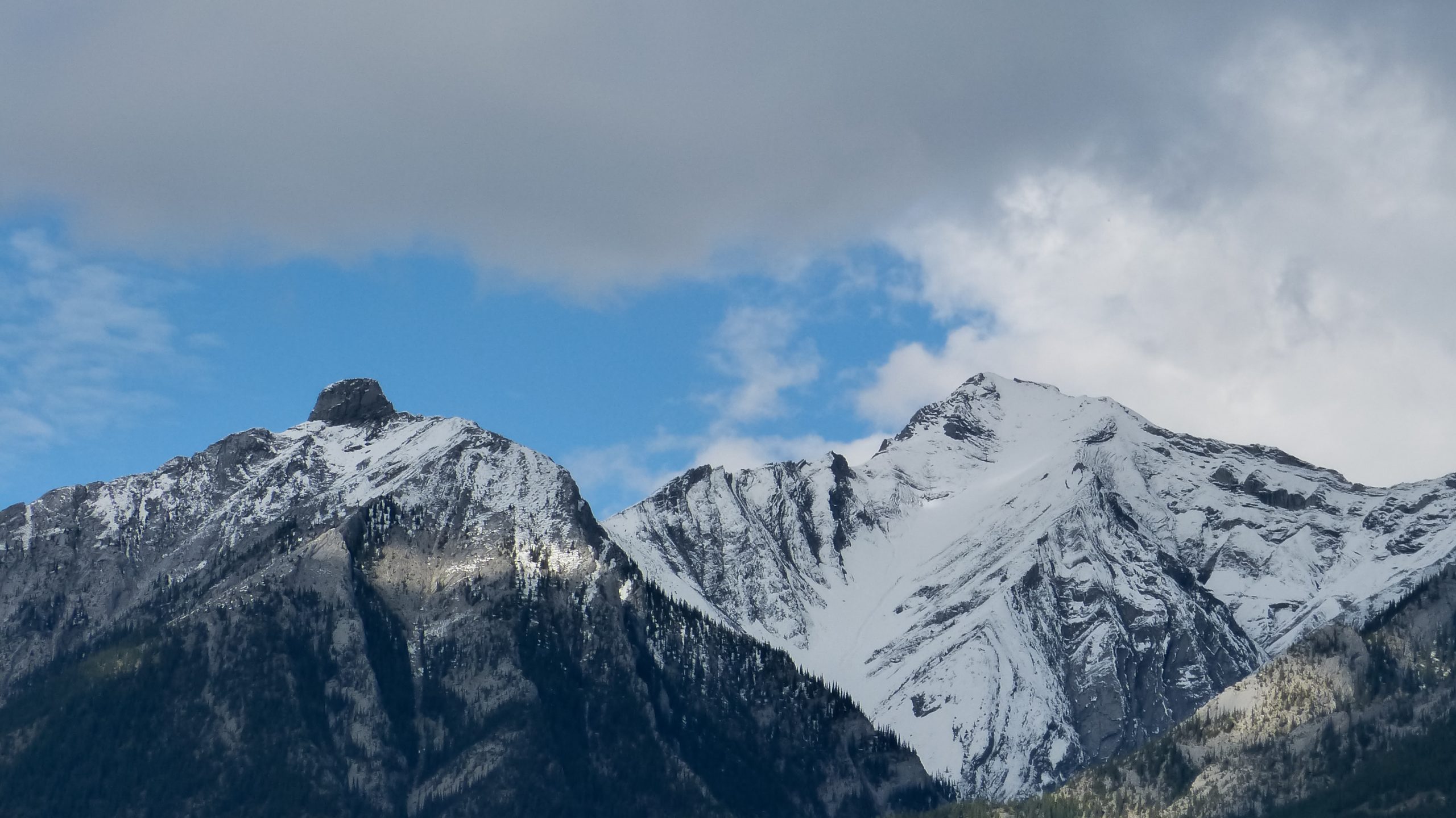 Top 5 Reasons to Visit Canmore | Canmore Co-Host
