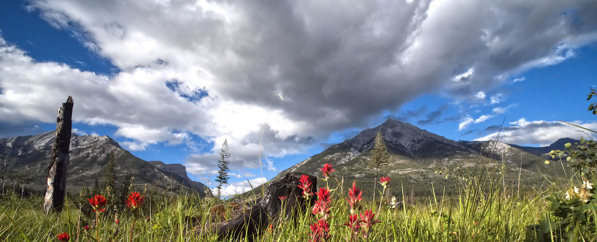 Canmore Painting Andy Arts Painting, Canmore / Banff Painter, Alberta