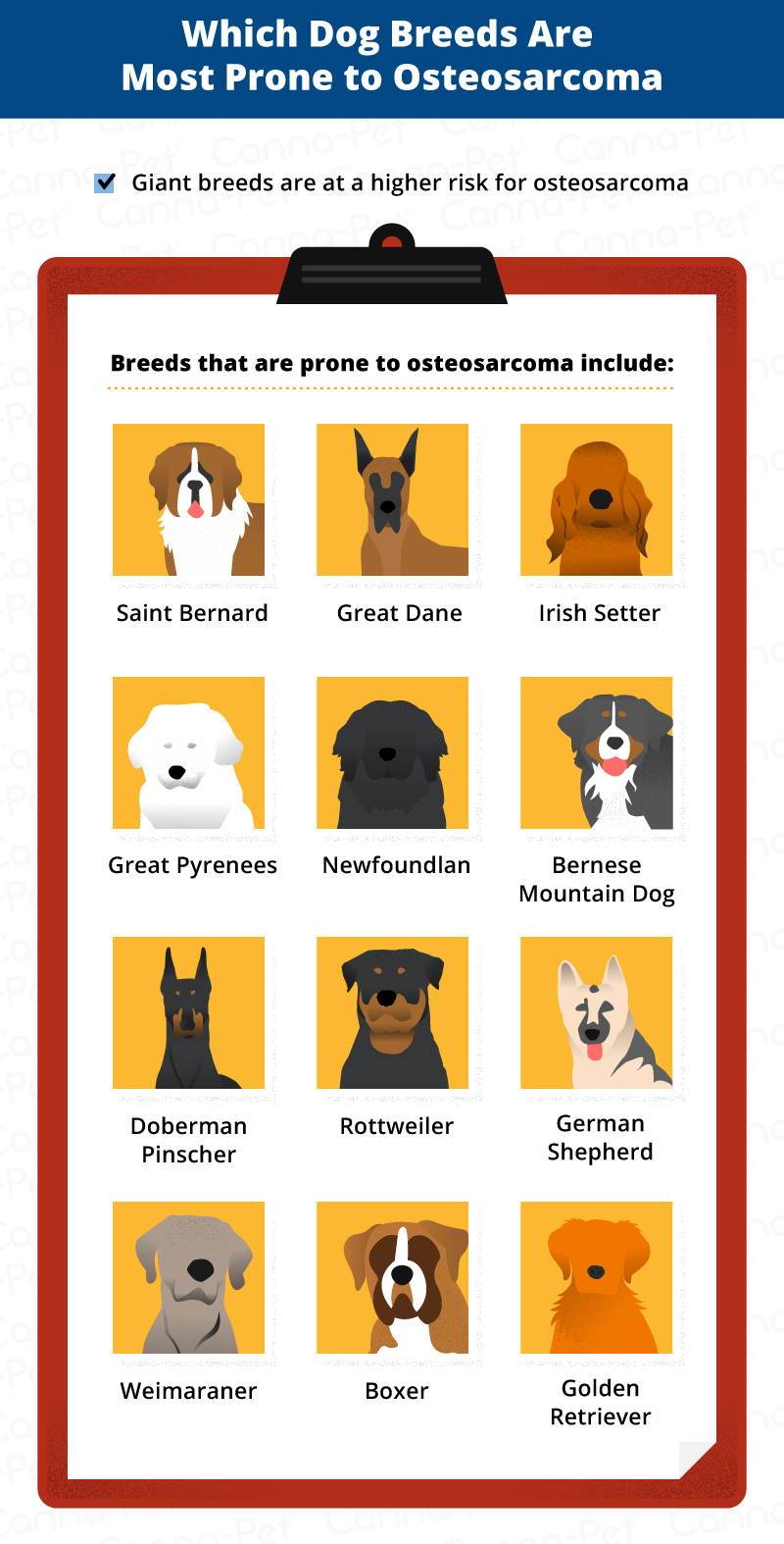 Which Dog Breeds Are More Prone To Cancer