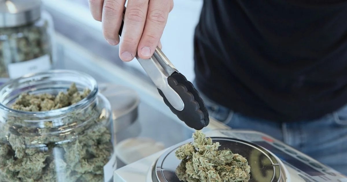 Vente de fleurs de CBD en France Le Conseil d’État
