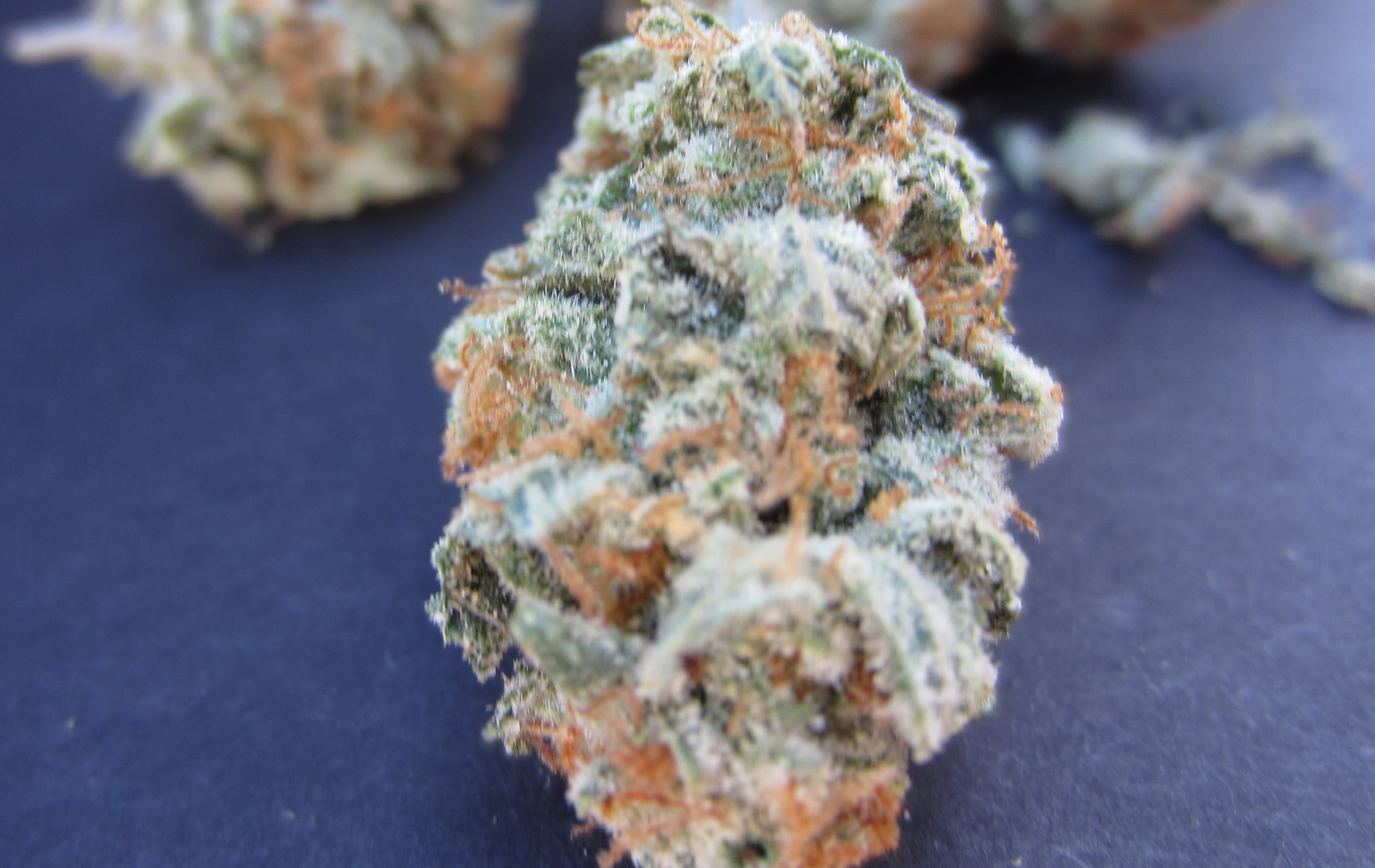 Strain Review Peaches Cannabis Chronicles